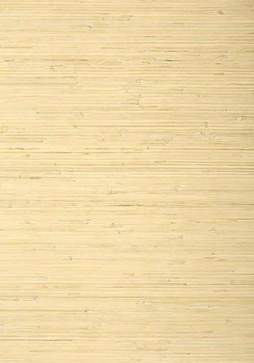 RAFFIA PALM T24065